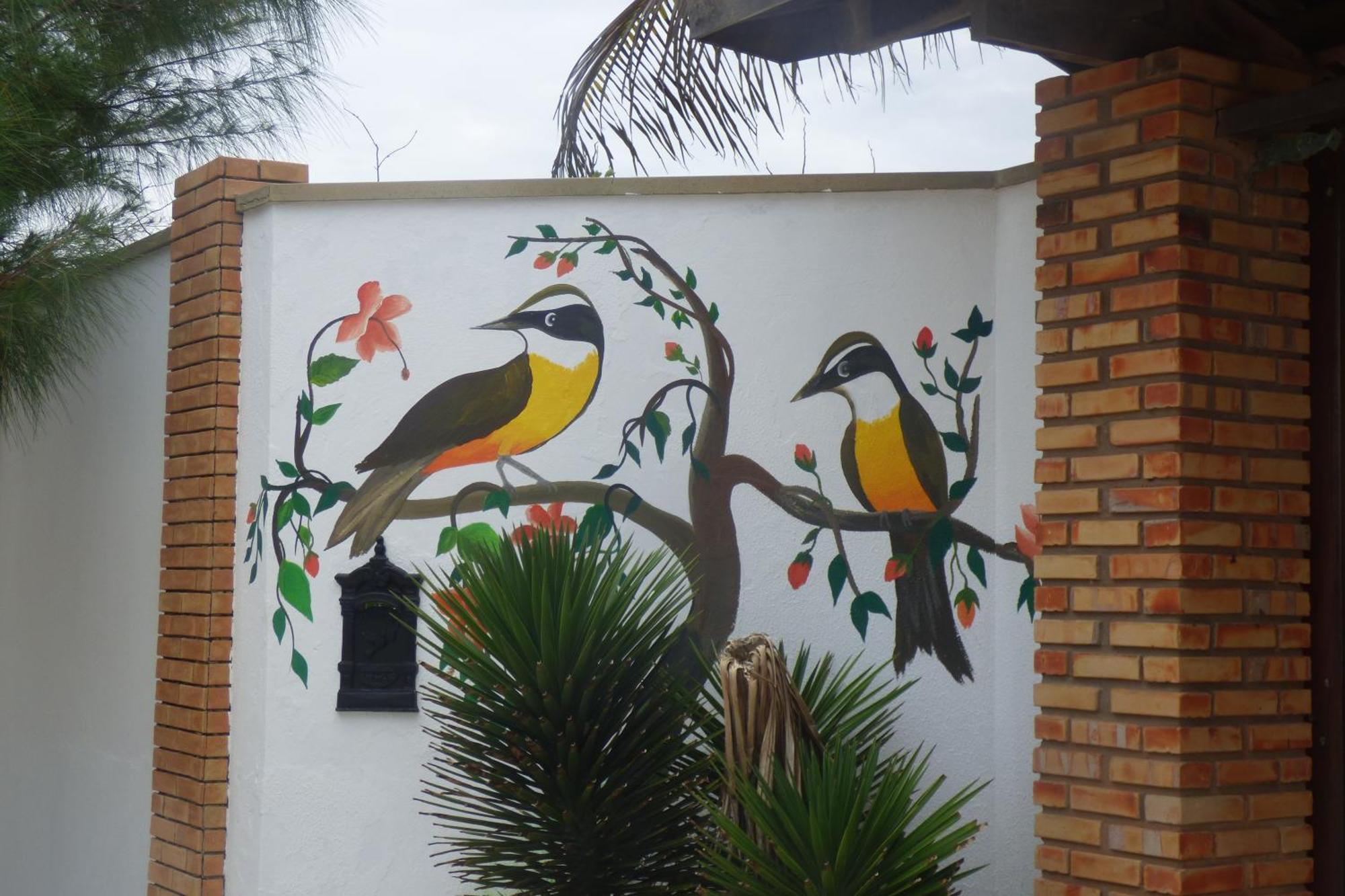A Toca Do Bem-Te-Vi Hotel Águas Belas Exterior foto
